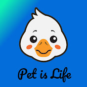pet is life