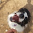 털친구들_Furry Friends