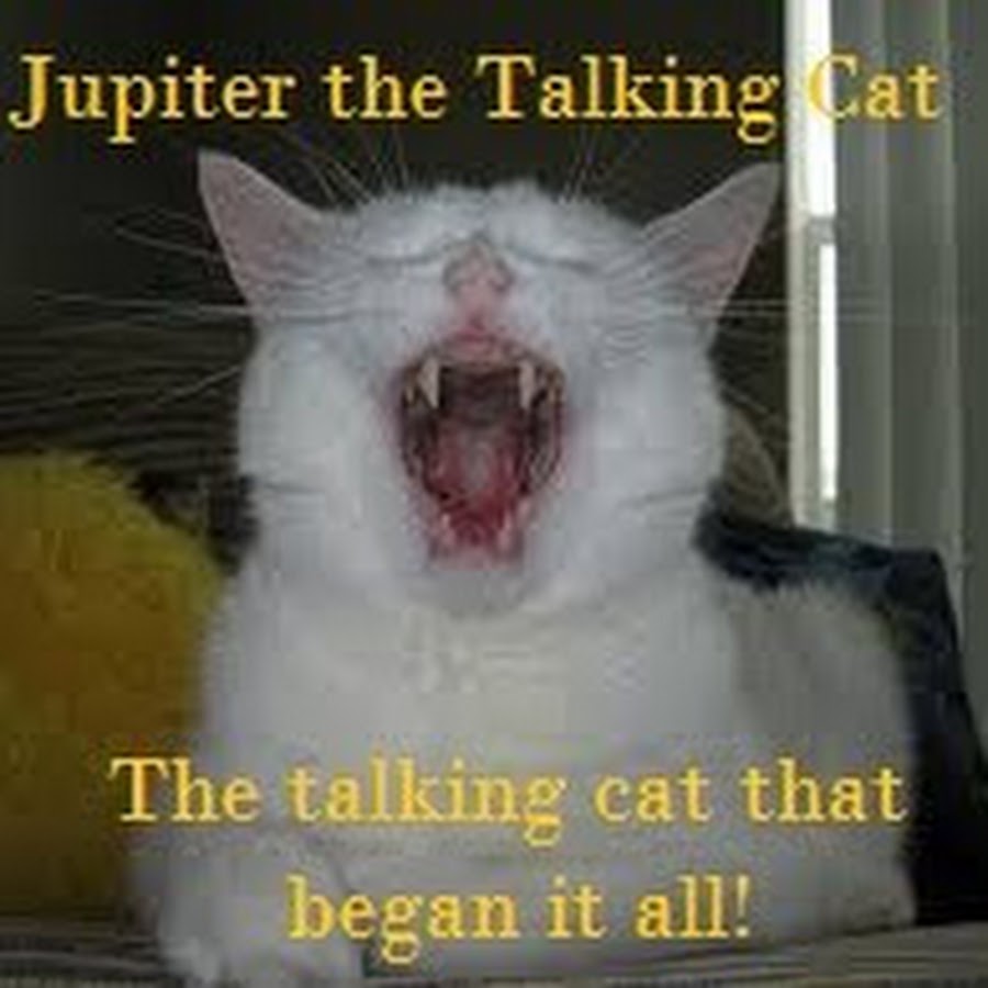 AKedOLTJqlEbxjDwHz1uvuZb_U5_KWUS3pEuOQTz_m_w=s900ckc0x00ffffffnorj