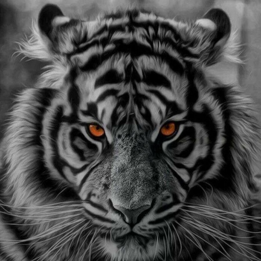 М днём рождения Вадим своими словами