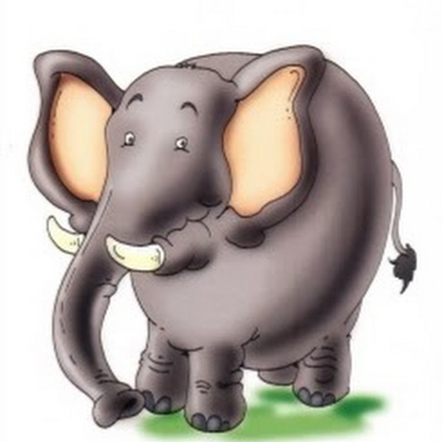 Ежики слон. Un elefante шоколад.