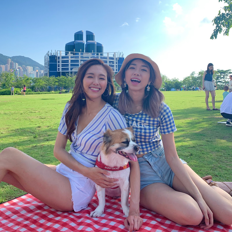 Jumbo Tsang - 網紅的藏寶箱 