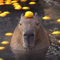 √100以上 小玉鼠 599599-小玉鼠 別名