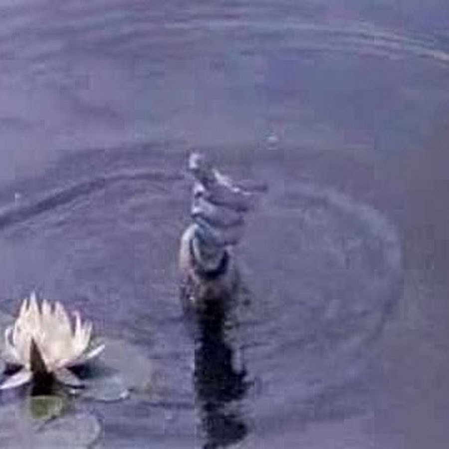 Картинка из сказки должок за тобой