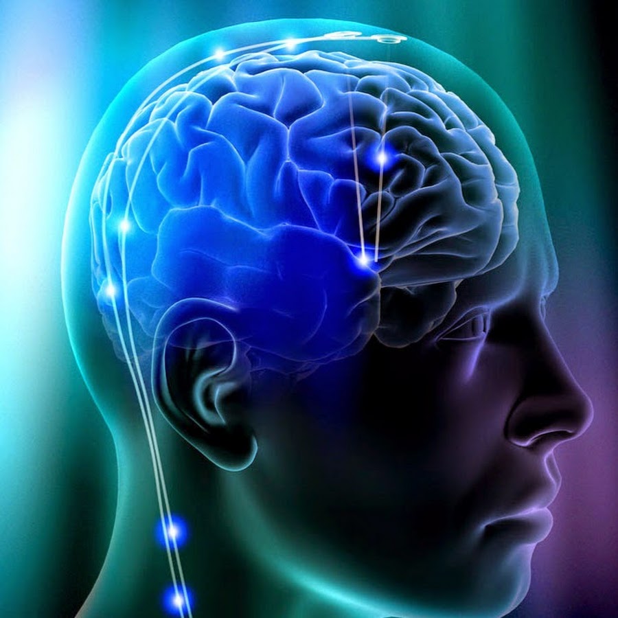 знания в голове. виды долговременной памяти человека. объем кратковременной памяти человека. кратковременная память. мозг и информация.