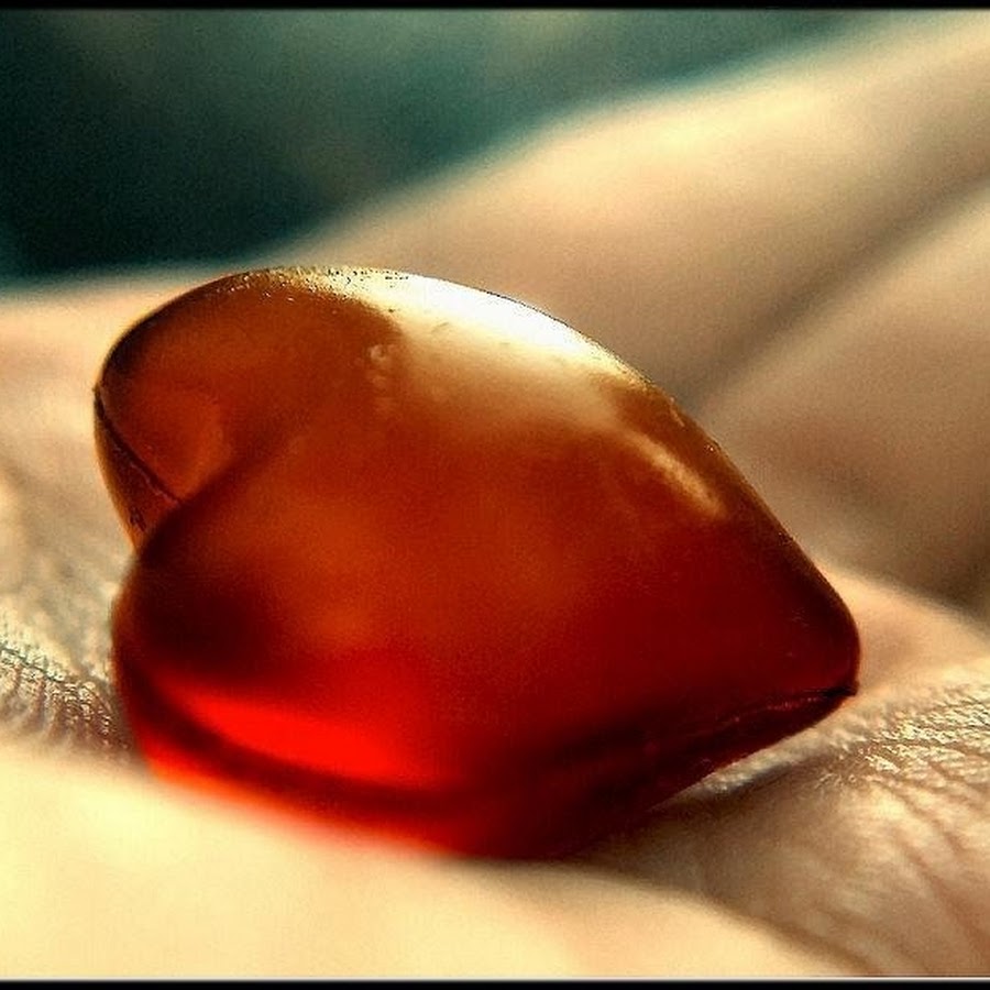 Сердце