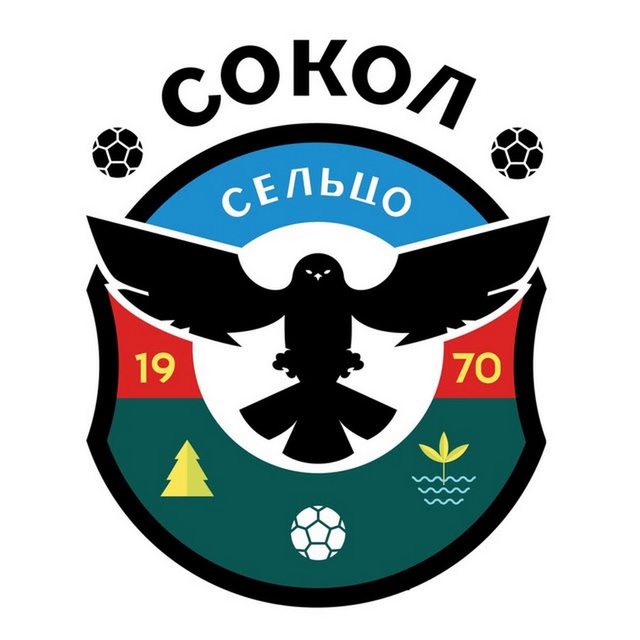 Футбольный клуб сокол