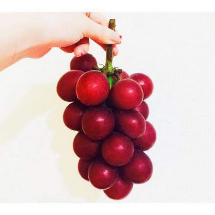 Ruby grape. Ruby grape. Ruby grape. Must have ruby grape вкус. Виноград сорта ruby roman.