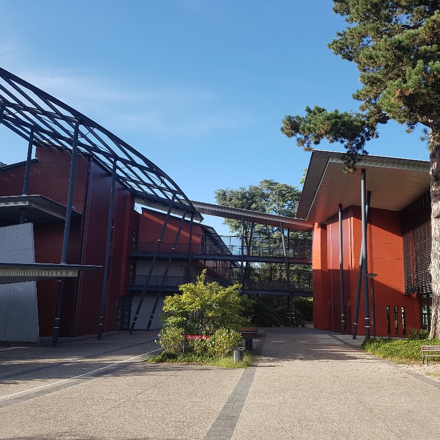 Lycee Rosa Parks Neuville Youtube