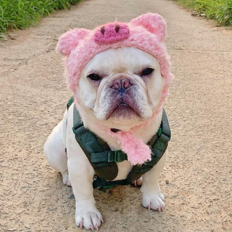 斗宅的日常生活 - 網紅的藏寶箱 