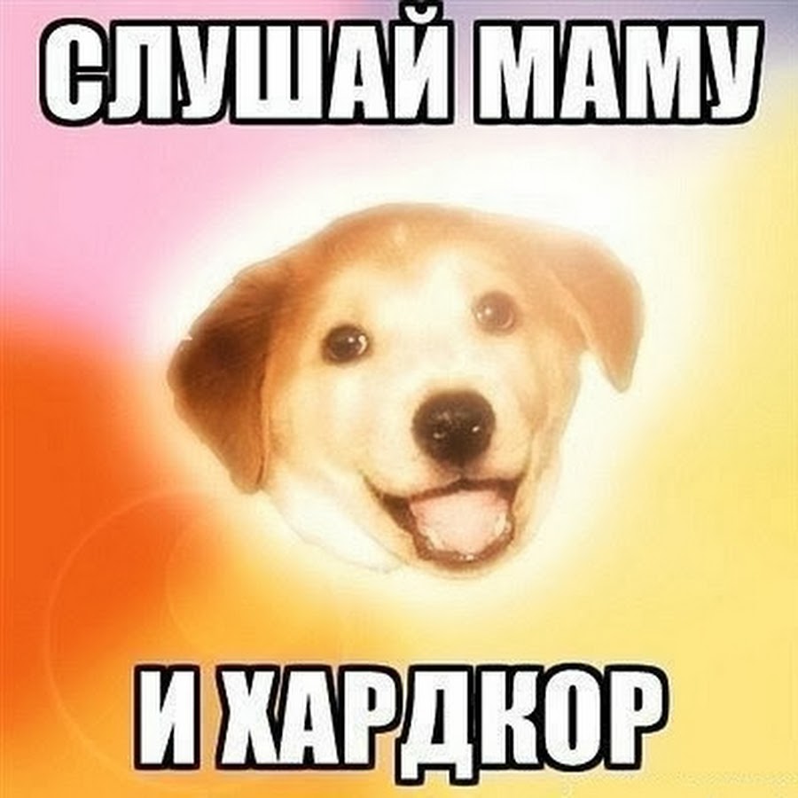 Мем собака воруй убивай
