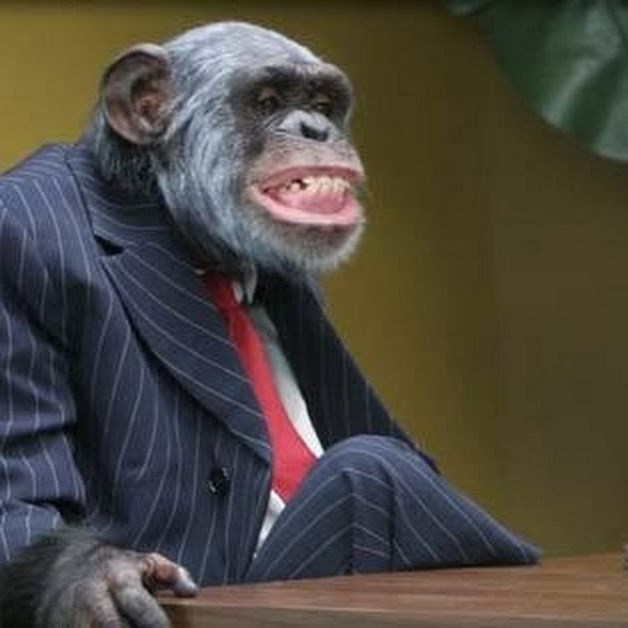 AKedOLTMAhs8vhdkO6sTjwU5wscI5NR9gLuz2vl3pLpF=s900-c-k-c0x00ffffff-no-rj