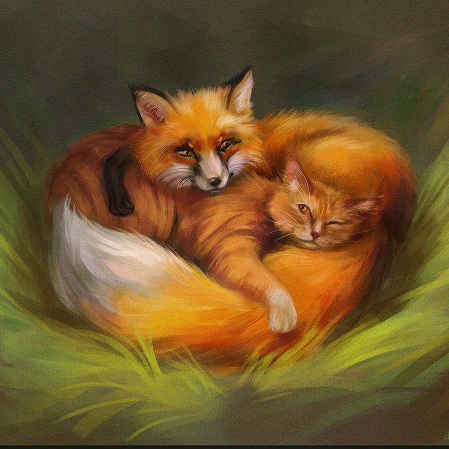 Кот и лиса. Котенок и лисенок. Котик и лиса. Кот и лиса. Котик и лиса.