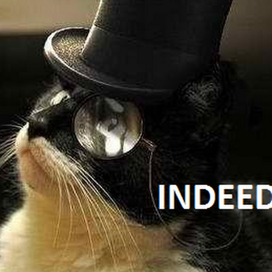 Кот джентльмен. Кот с моноклем. Кот в шляпе. Котик в шляпе. Кот с моноклем и в шляпе.