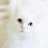 周美智 Avatar