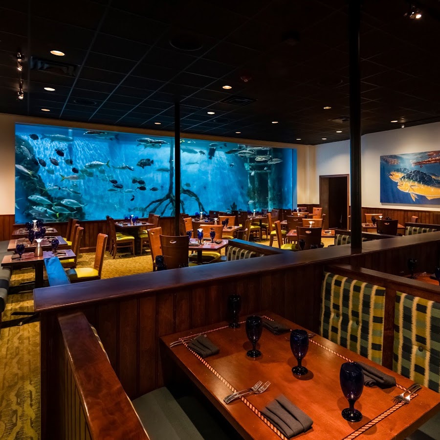 AKedOLTMxbUHpF1mlvfPhwQpXq_P9F03gSveTkXCgBRwhw=s900ckc0x00ffffffnorj