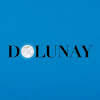 What could Dolunay buy with $1.37 million?