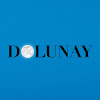 What could Dolunay buy with $1.4 million?