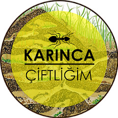 Karınca Çiftliğim thumbnail