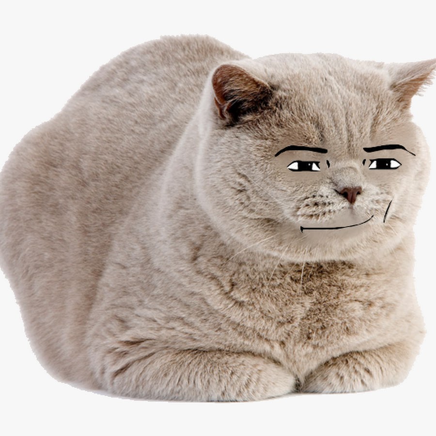 Британская кошка
