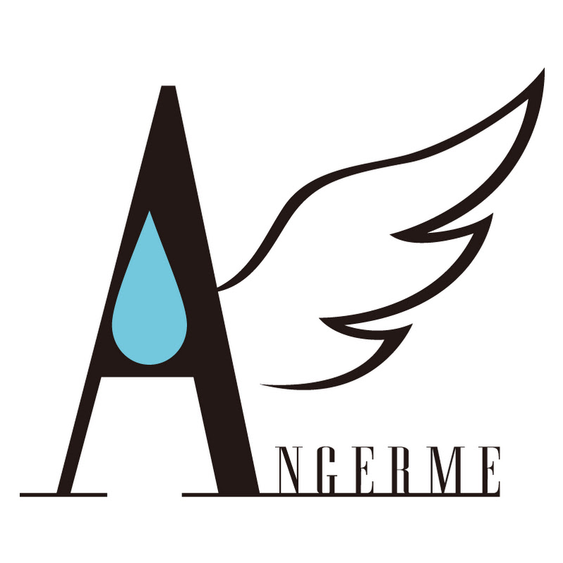 アンジュルム - 網紅的藏寶箱 