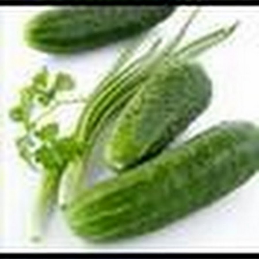 зеленые овощи и фрукты. зелень микс /петрушка. петрушка, кинза, укроп, редиска. шпинатом и сельдереем и капуста. овощи и зелень.