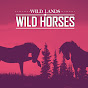 Wild Lands Wild Horses YouTube Profile Photo