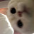 zzang unni