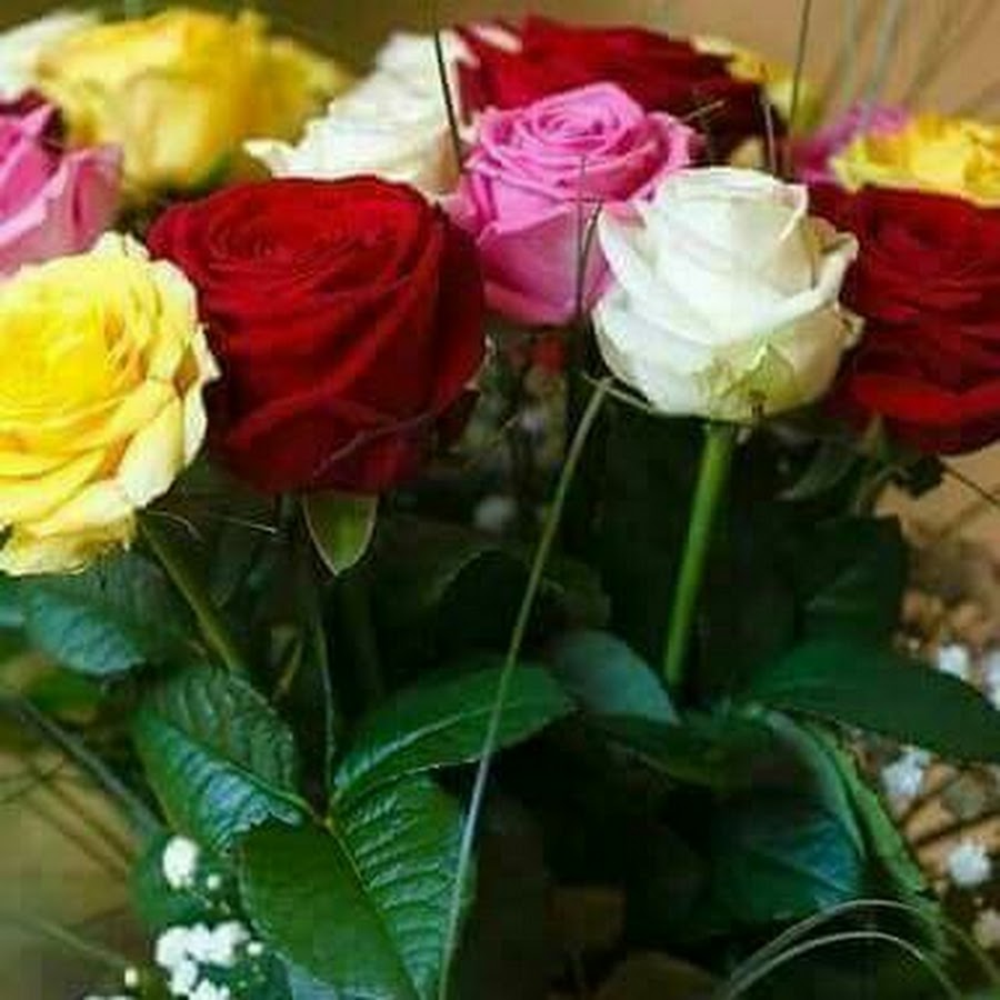 цветы просто так без повода картинки