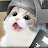 힝해뚜