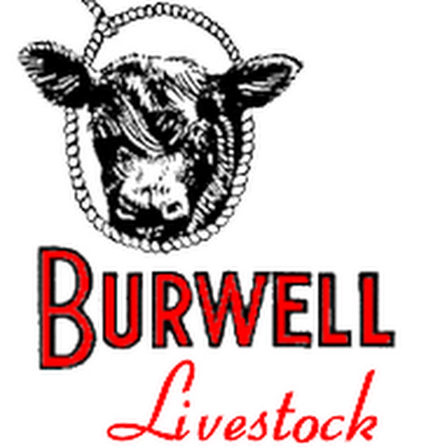 AKedOLTPUtWHRcmlDCTGK2U7nR25iOCZwCbSutWyYvAk=s900ckc0x00ffffffnorj