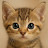 jiny k