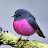 birdcall