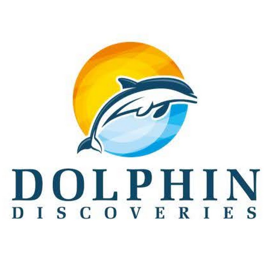 Dolphin Discovery. Реклама Дельфин. Dolphin swimming. Discover profile