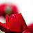 Get thankyou