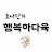 조나단의 행복하다육happy succulents