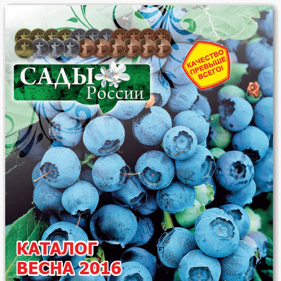 Сайт сады россии челябинск каталог