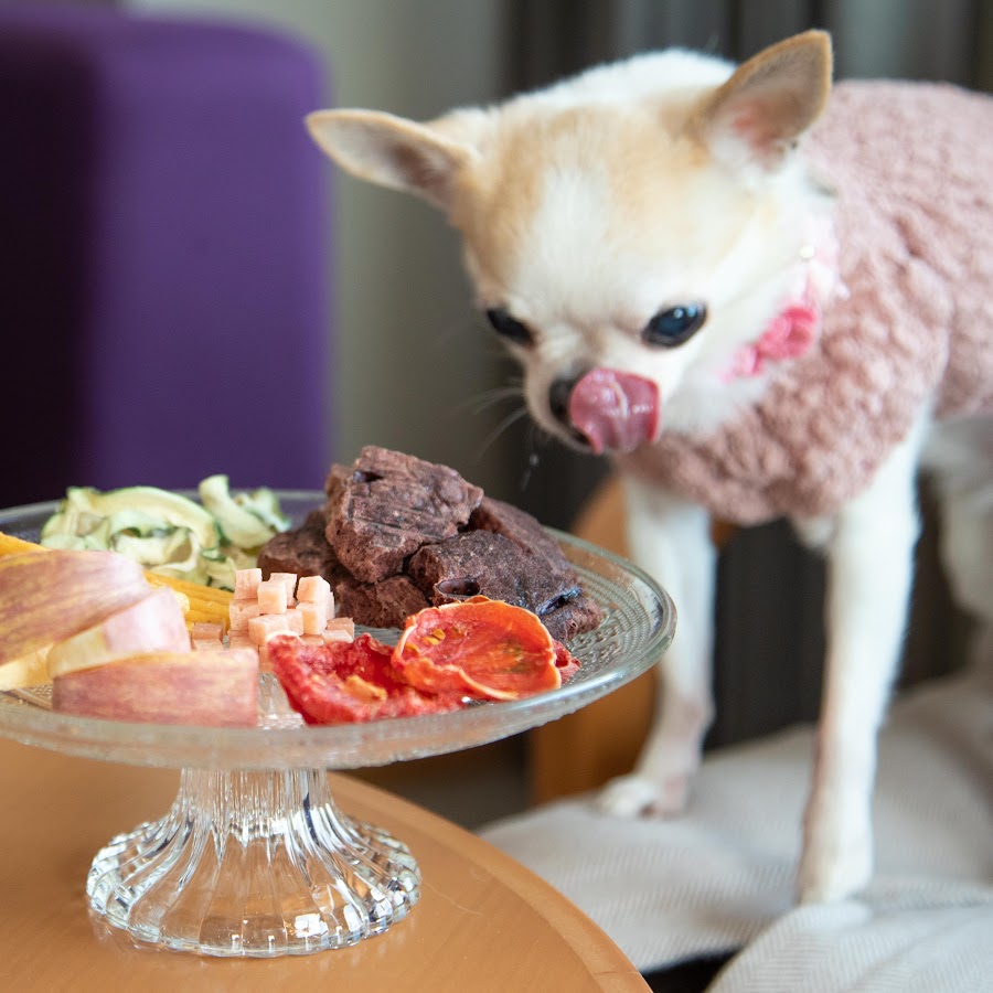 佐々木恵 Youtube