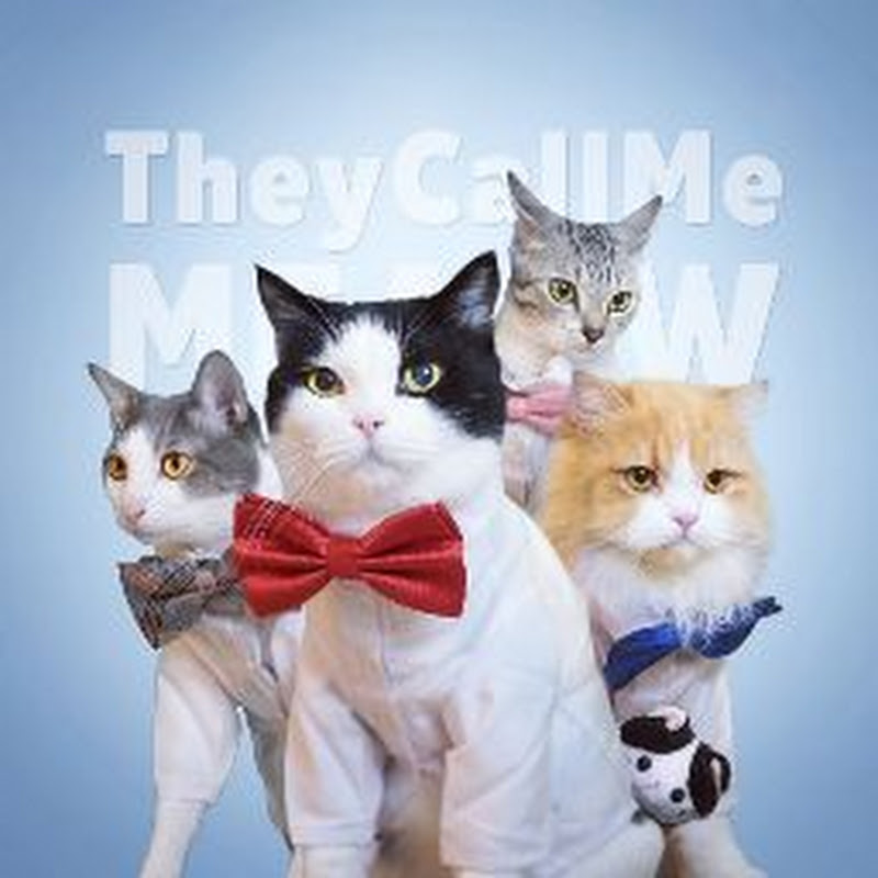 TheycallmeMeaow - 網紅的藏寶箱 