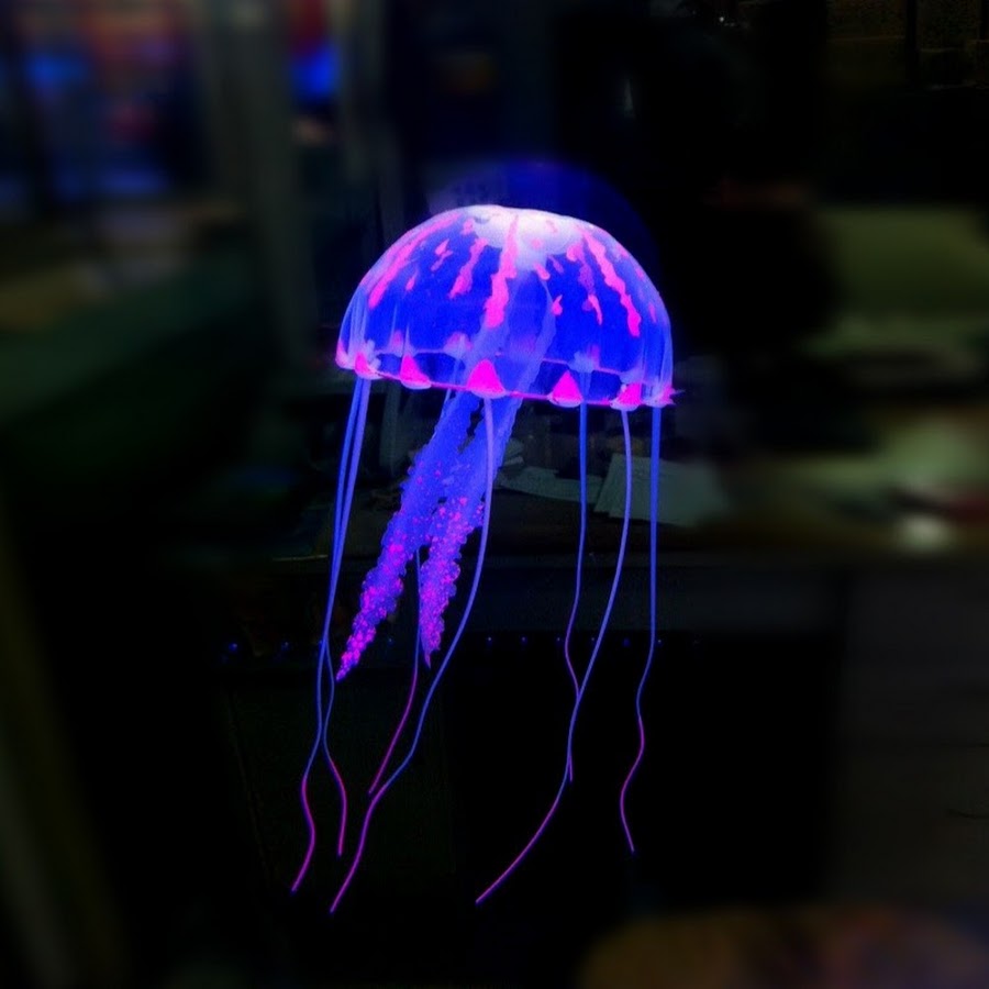 Медуза цена лайф. Светящийся Скат. Аквариум с медузами. Скаты светящиеся в темноте. Аквариум со светящимися медузами.