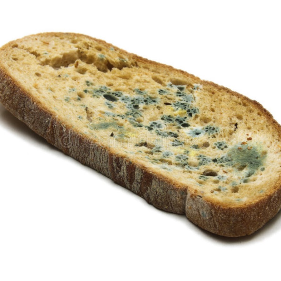 черствый черный хлеб. черствый хлеб. кусок хлеба. засохший сухарь. черствый хлеб.