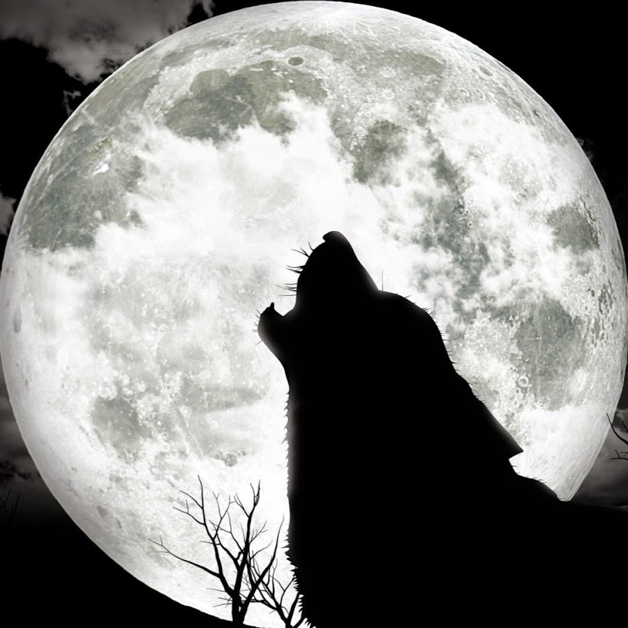 Подожди ночью. Одиночка. Подожди ночью. Подожди ночью. Костры над рекой веня дркин.