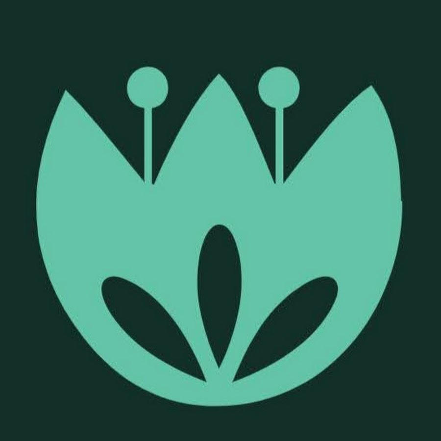 昆虫拳王争霸赛 Youtube