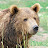 griz063 Avatar