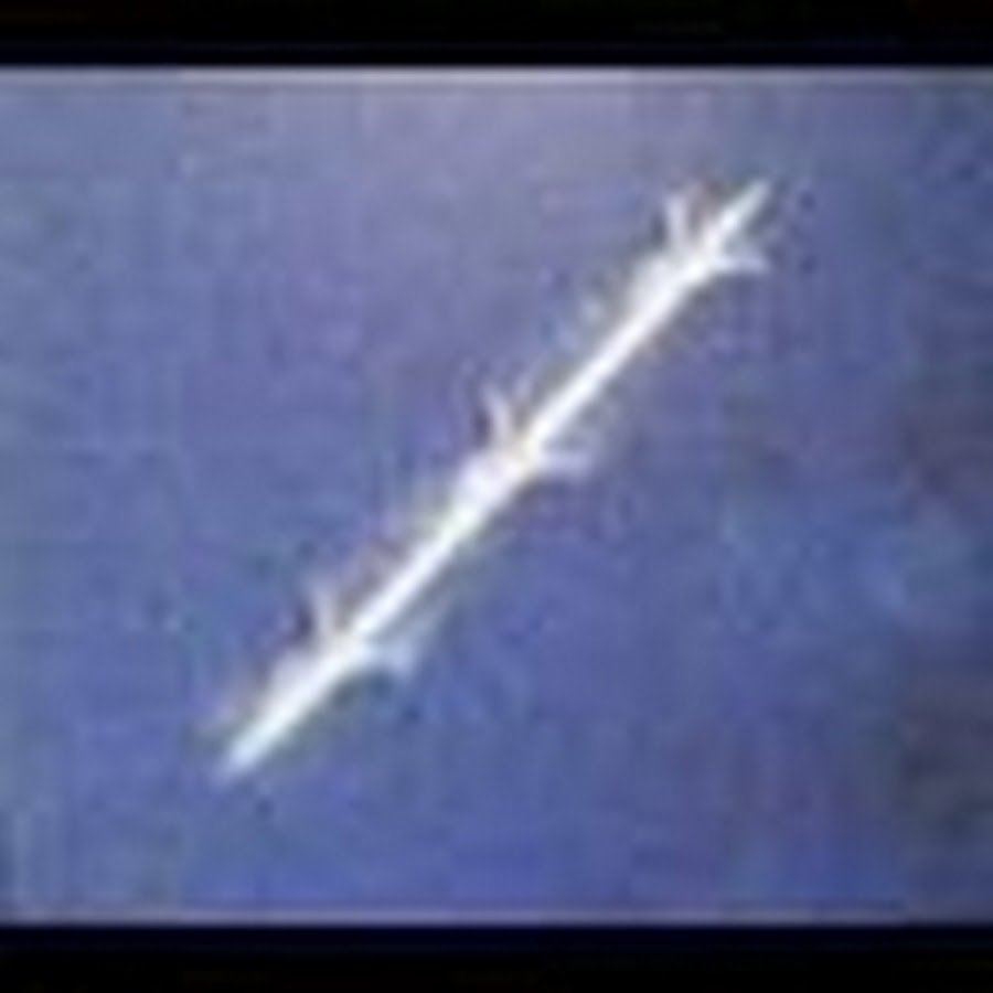 Skyfish. Криптид скайфиш. Скайфиш насекомое. Скайфиш летающие стержни. Летающие стержни криптиды.