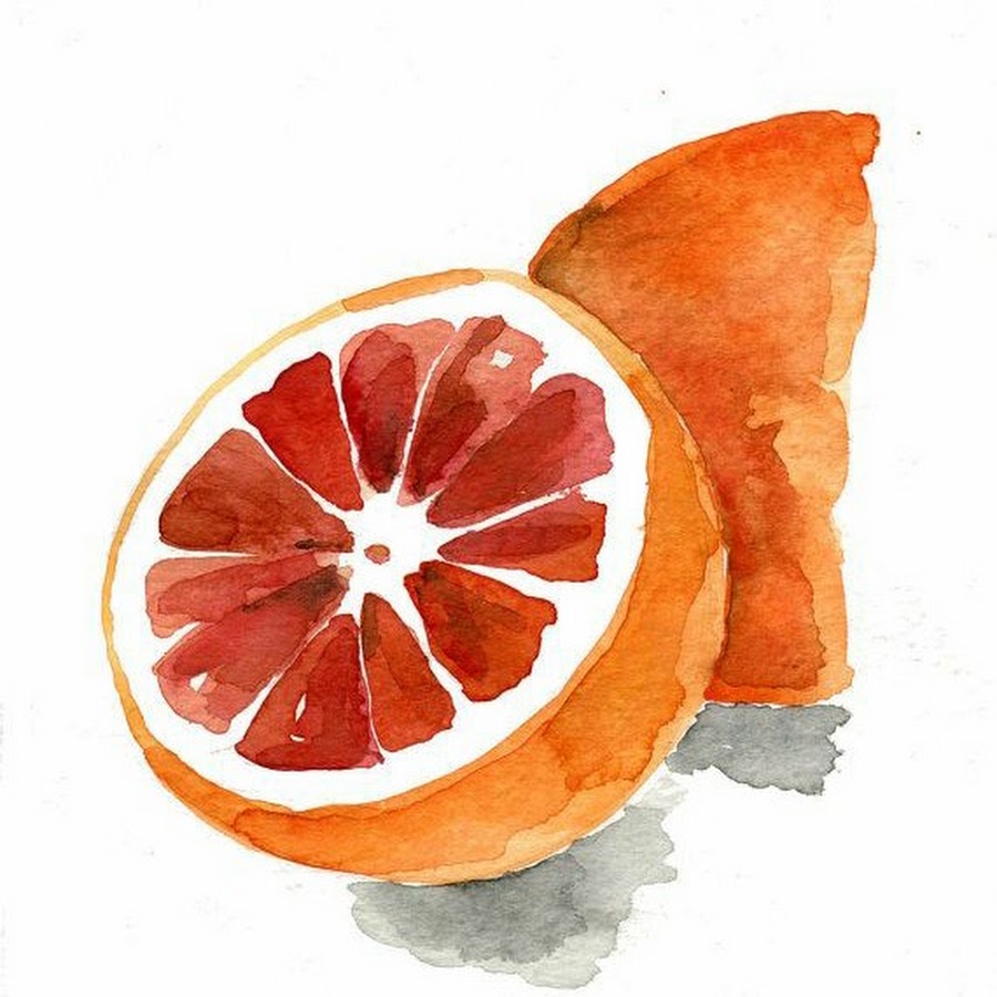 Как нарисовать апельсин акварелью поэтапно для начинающих