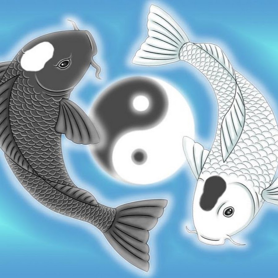 Инь янь эскиз. Инь янь рыбы значение. Тату карпы инь янь. Тату рыбки инь янь. Рыбки кои инь янь.