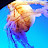 sexyjellyfish82