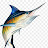 J Koo Avatar