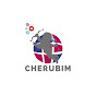 Cherubim Innovative Marketing Solutions Cc YouTube Profile Photo